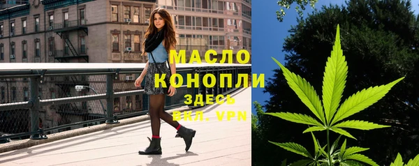индика Лихославль