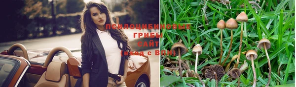 хмурый Кемь